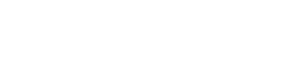 San Data Systems